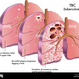 TB-500 (Thymosin Beta-4) 5mg (1 vial)